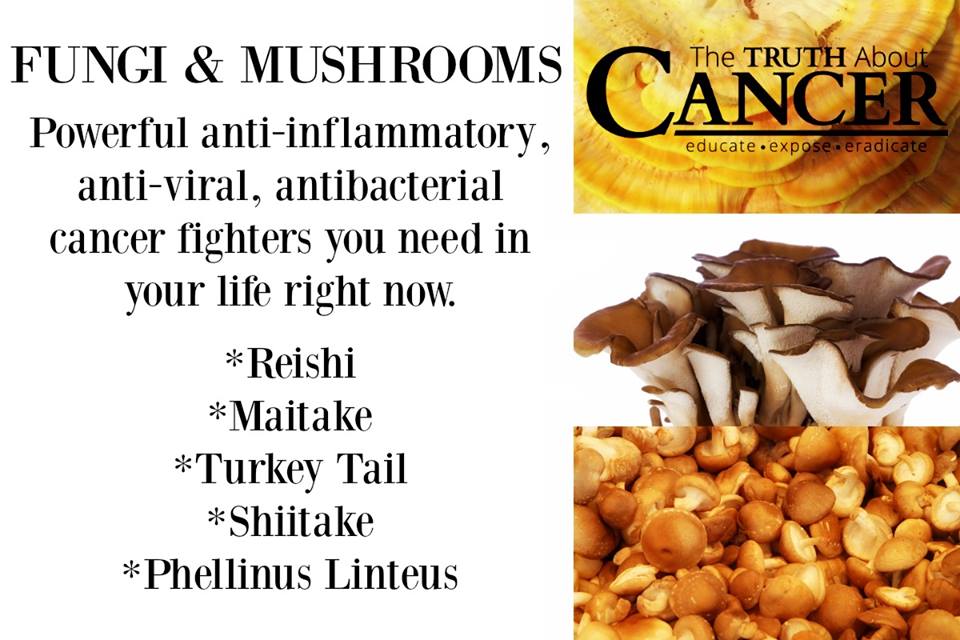 Anti-inflammatory Mushrooms