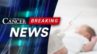 FDA Approves VAXELIS Combo Vaccine Despite Infant Mortality FDA Approves VAXELIS Combo Vaccine Despite Infant Mortality