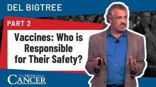 Vaccines: Who is Responsible for Their Safety? (Part 2) Vaccines: Who is Responsible for Their Safety? (Part 2)