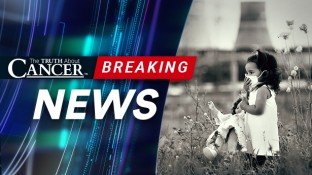 New Study Says Air Pollution Kills 600,000 Children Each Year New Study Says Air Pollution Kills 600,000 Children Each Year