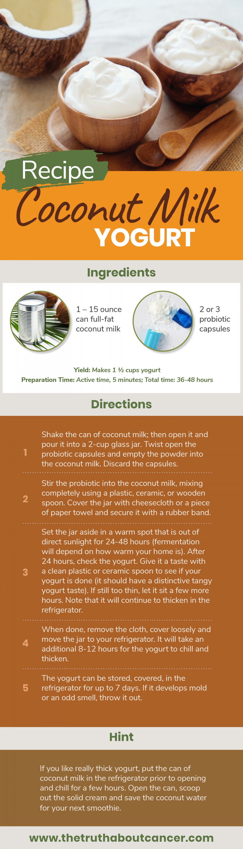 coconut yogurt infographic