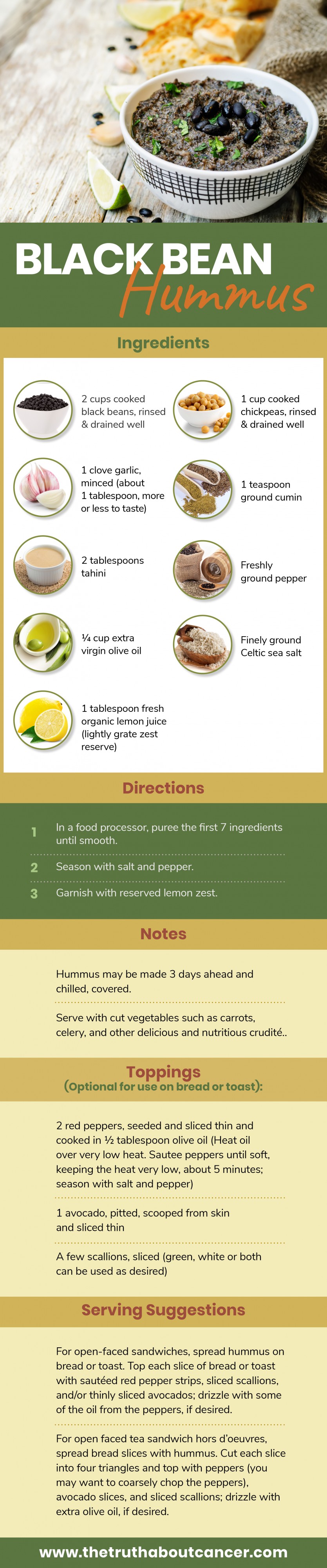 black bean hummus recipe infographic