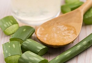 aloe vera juice with fresh leaves