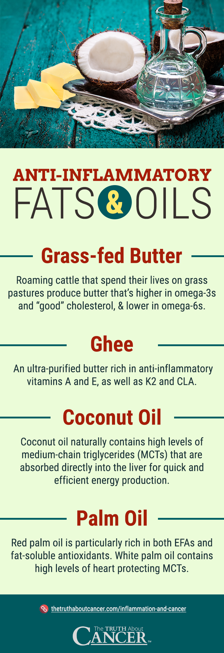 Anti-Inflammatory Fats - Infographic