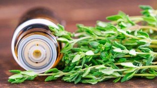 Why It's Time to Discover the Benefits of Thyme Essential Oil Why It's Time to Discover the Benefits of Thyme Essential Oil