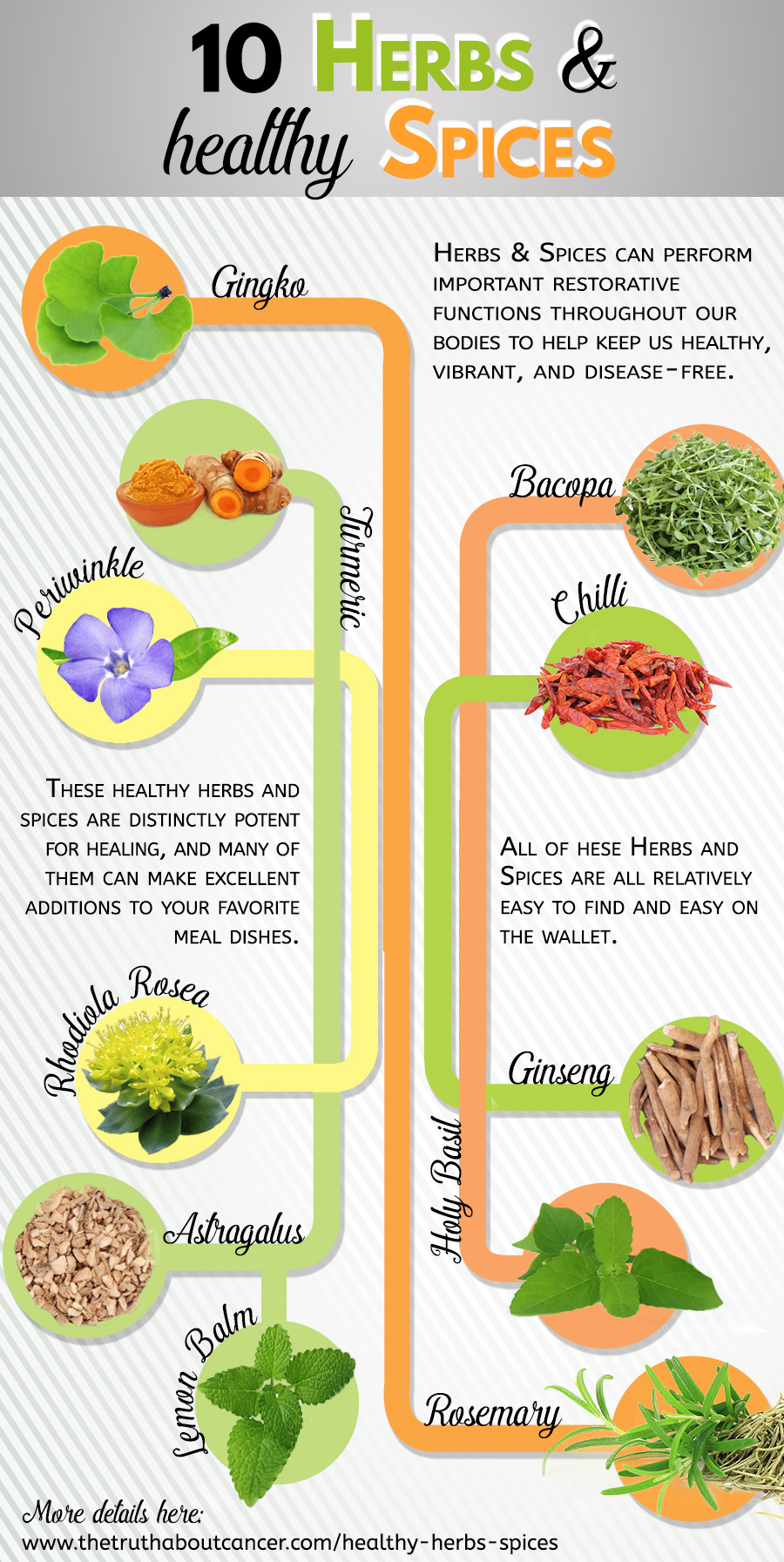 11 Healthy Herbs & Spices That Help Keep Disease At Bay