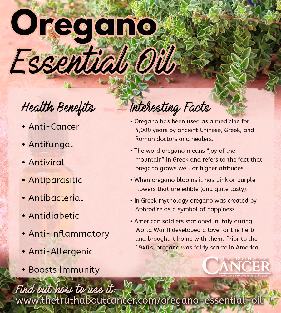 14 Practical Tips for Using Oregano Essential Oil