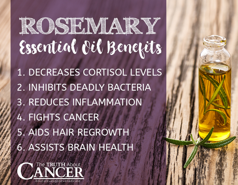 6 Rosemary Essential Oil Benefits for Your Health