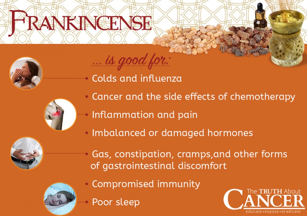 Boswellia-serrata-Frankincense-benefits