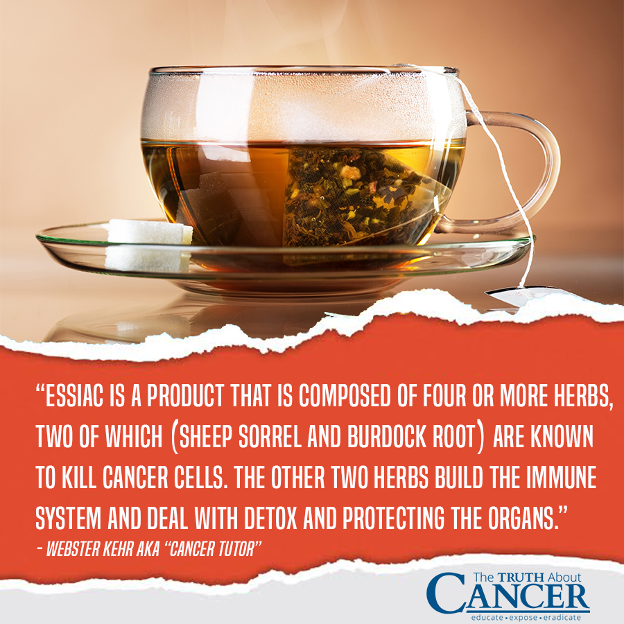 The Truth About Cancer Essiac Tea