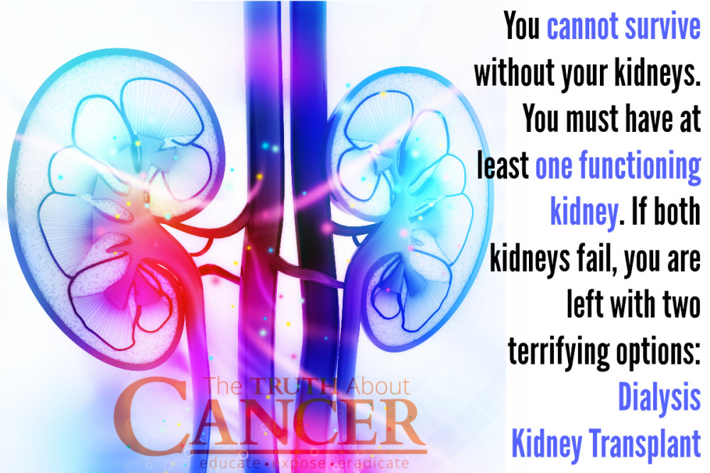 kidney health