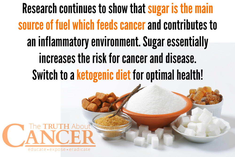 ketogenic diet and cancer studies