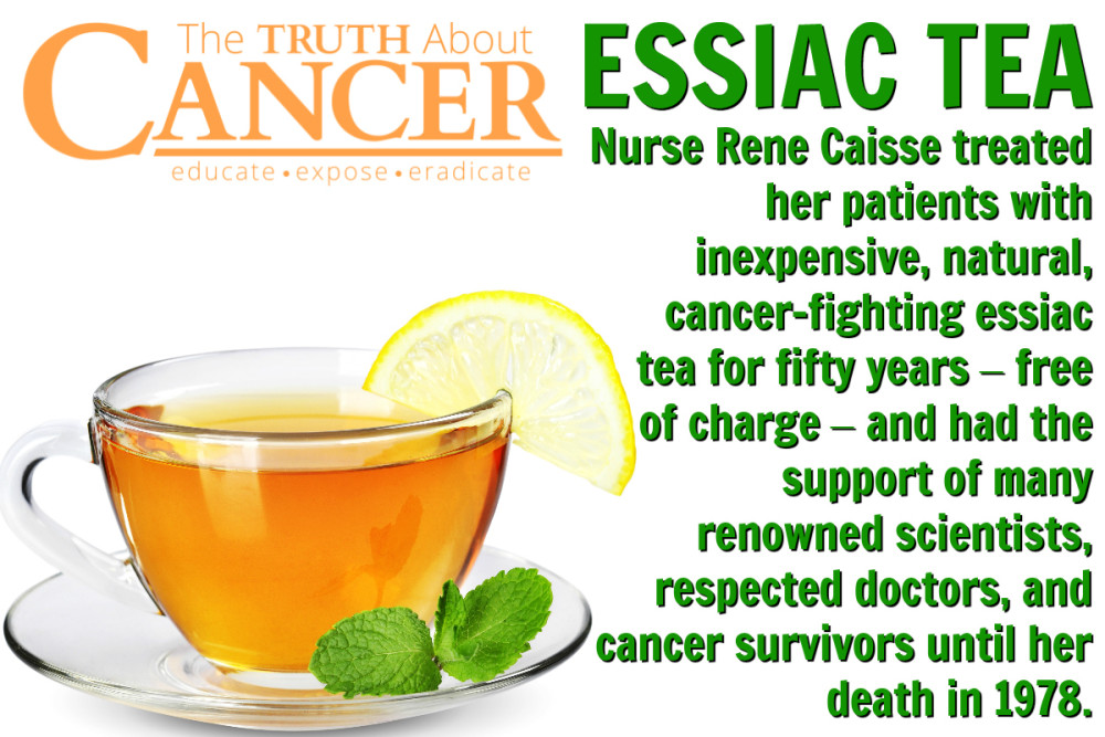 essiac tea recipe