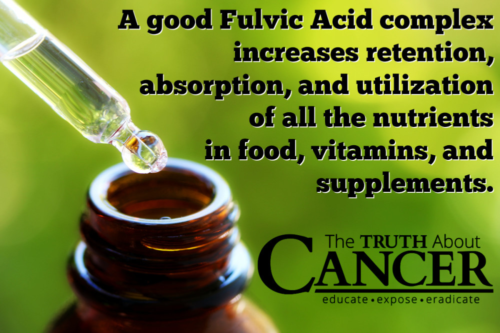 What is Fulvic Acid? By Dr. Dan Nuzum