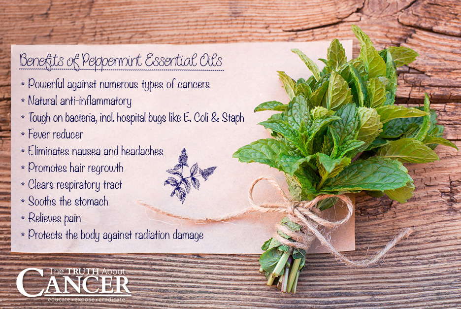 peppermint essential oil benefits