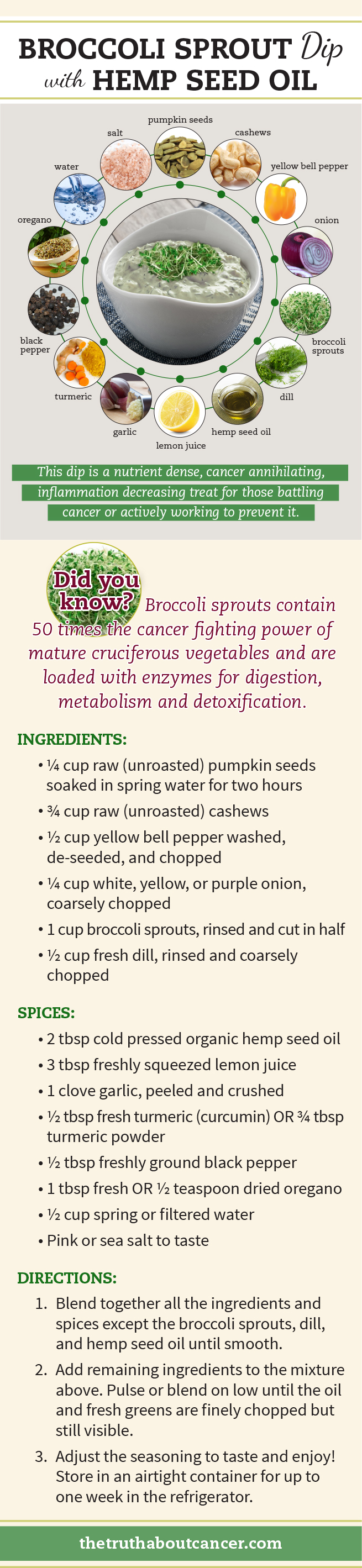 Cancer Fighting Recipe Broccoli Sprouts Dip with Hemp Seed Oil