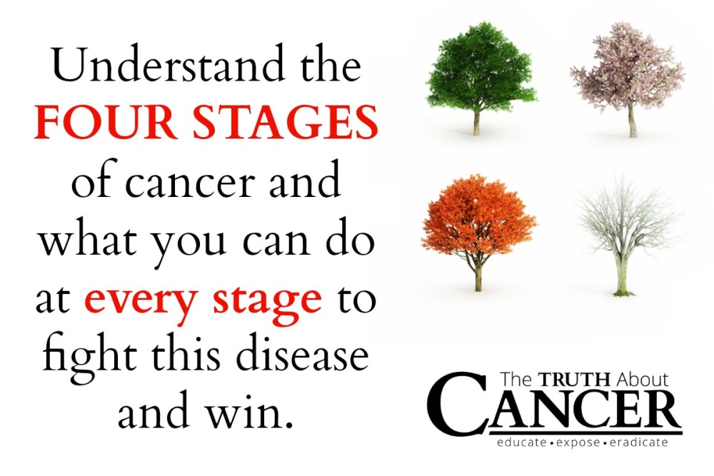 Understanding The 4 Stages Of Cancer 