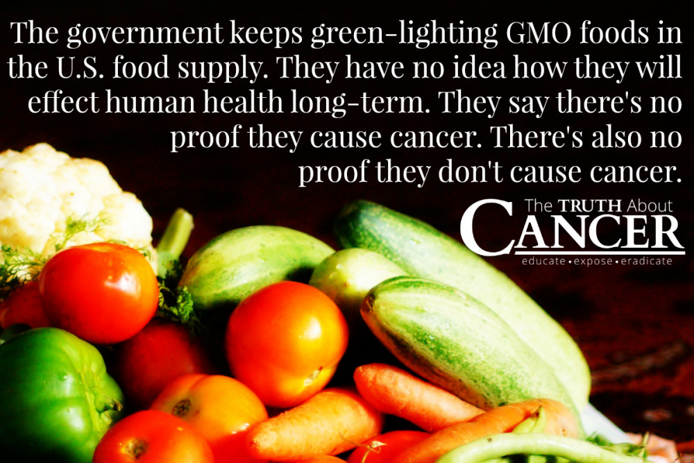 GMO Foods