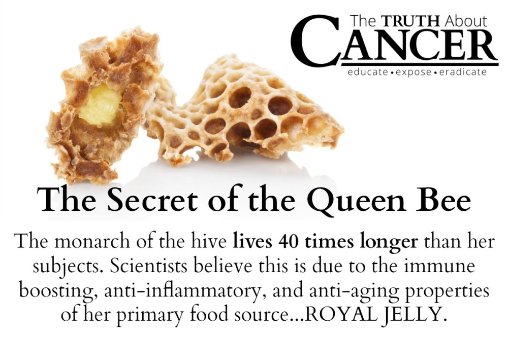 Secret Queen Bee Cancer