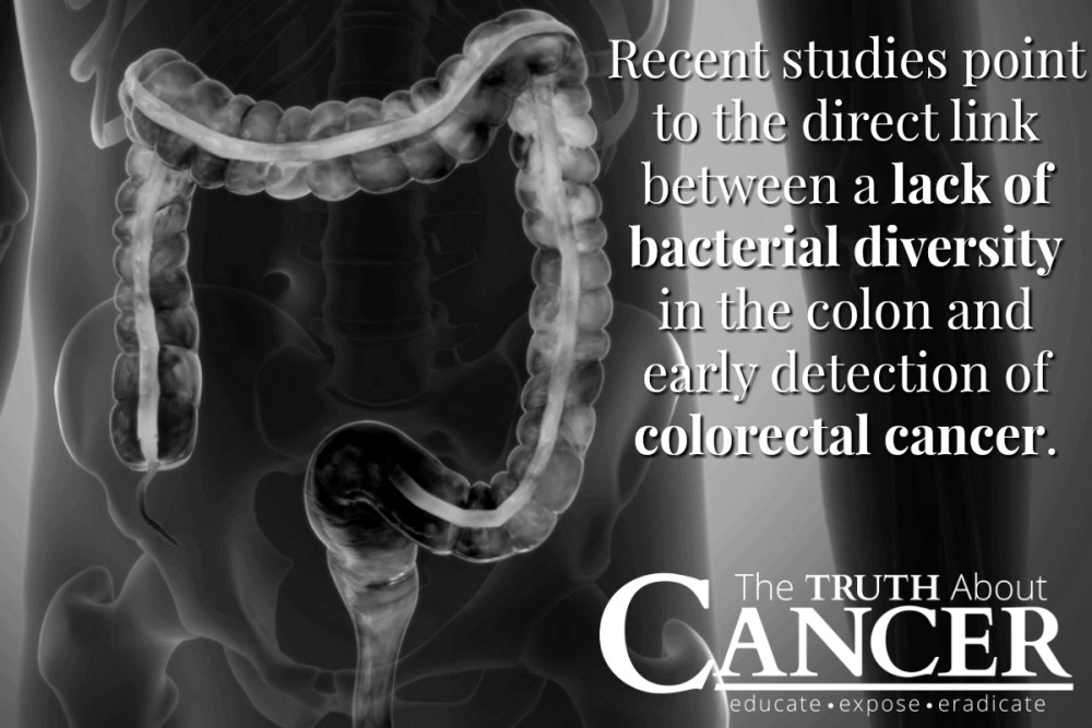 Bacteria Colon