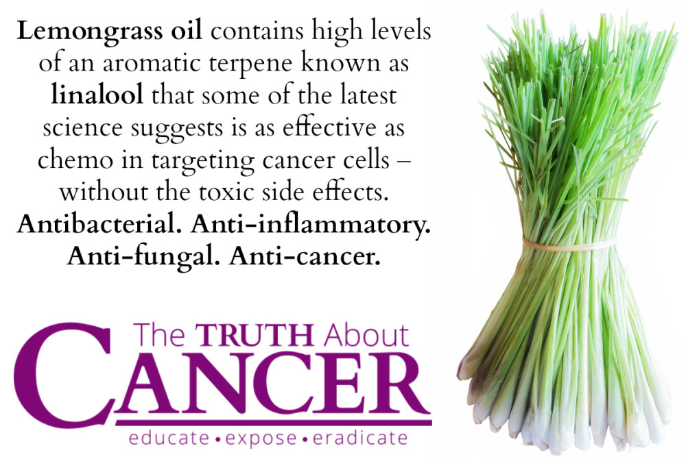 The Unbelievable Anti-Cancer Effects of Lemongrass Essential Oil