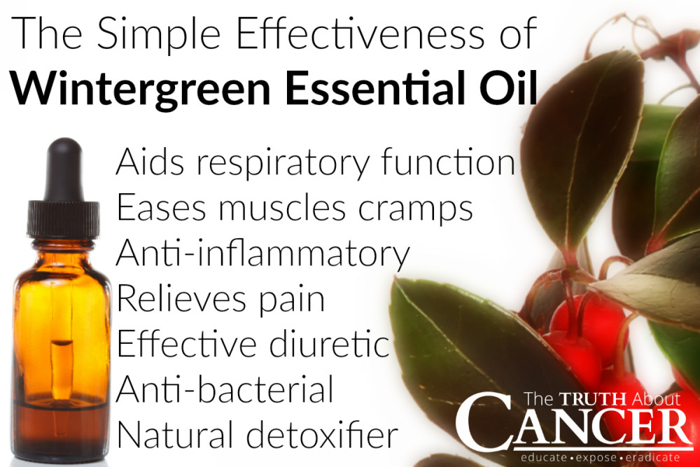 Wintergreen-Essential-Oil