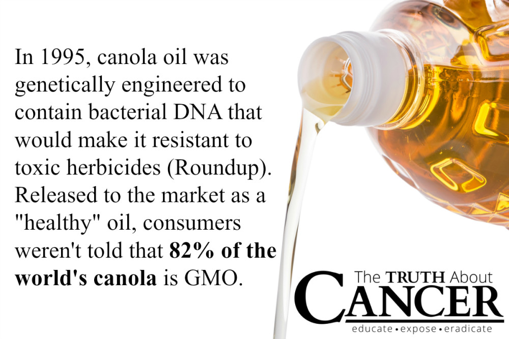 Unhealthy-Canola-Oil