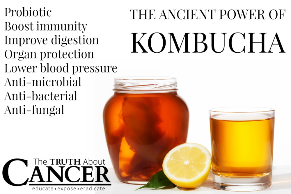 Kombucha Tea - History, Health Benefits & Insanity