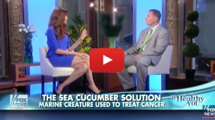 Is the Sea Cucumber the Next Miracle Cure for Cancer? (video) Is the Sea Cucumber the Next Miracle Cure for Cancer? (video)