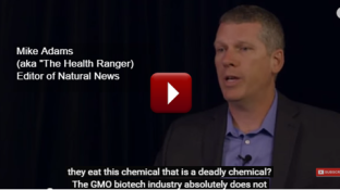 What is Your Biggest Health Risk When Eating GMO Foods? (video) What is Your Biggest Health Risk When Eating GMO Foods? (video)