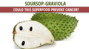 Soursop (Graviola): Could this Superfood Prevent Cancer? Soursop (Graviola): Could this Superfood Prevent Cancer?
