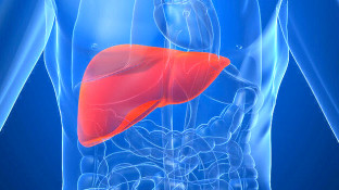 Statistics and Causes of Liver Cancer Statistics and Causes of Liver Cancer