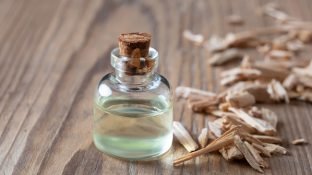 Everything You Need to Know About Cedarwood Essential Oil Everything You Need to Know About Cedarwood Essential Oil