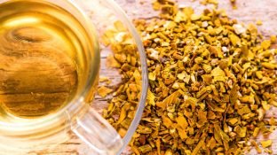 Mistletoe: A Little-Known Cancer-Killer Mistletoe: A Little-Known Cancer-Killer