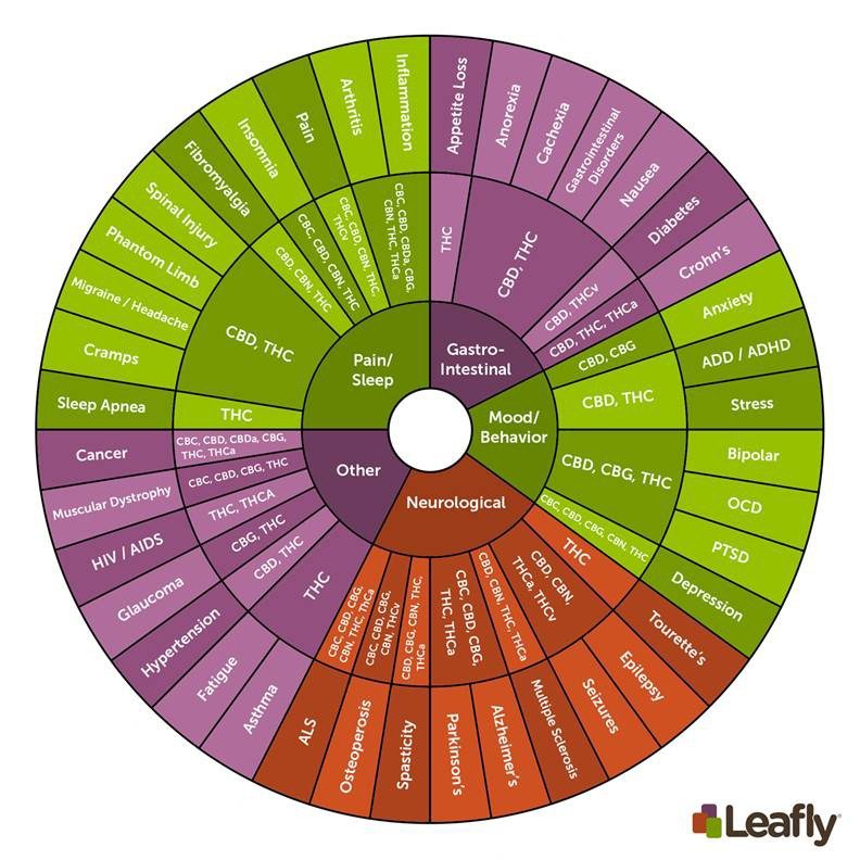 leafly cannabinoid wheel