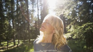 Can a Walk Through the Forest Help Prevent Cancer? 5 AMAZING Forest Bathing Benefits! Can a Walk Through the Forest Help Prevent Cancer? 5 AMAZING Forest Bathing Benefits!