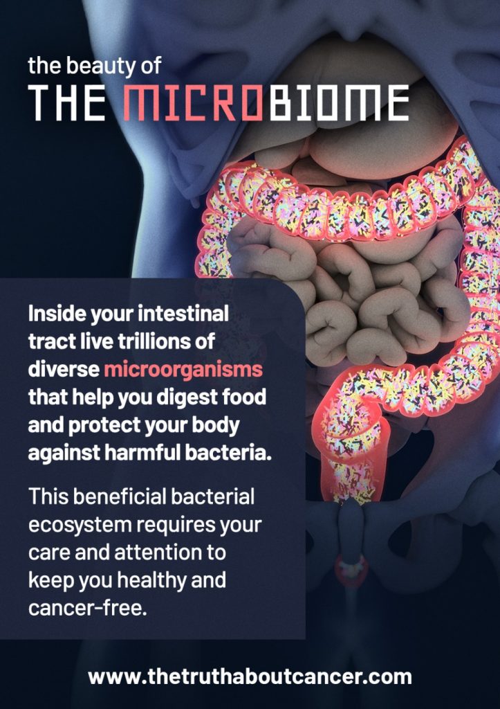 the gut microbiome