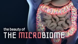 Bacteria is Best: Why a Healthy Gut Microbiome is Key to Cancer Prevention Bacteria is Best: Why a Healthy Gut Microbiome is Key to Cancer Prevention