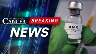 Legislators Willingly Over-Vaccinate Infants as New York Bans Exemptions Legislators Willingly Over-Vaccinate Infants as New York Bans Exemptions