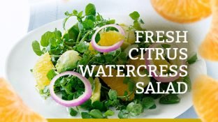Fresh Watercress Citrus Salad Recipe Fresh Watercress Citrus Salad Recipe