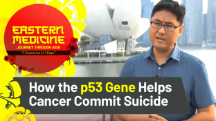Can a Calcium Imbalance Disrupt Natural Healing? (+ the Powerful Role of the p53 Gene in Cancer!) Can a Calcium Imbalance Disrupt Natural Healing? (+ the Powerful Role of the p53 Gene in Cancer!)