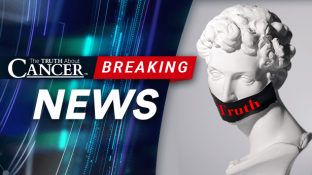War on Truth Accelerates War on Truth Accelerates