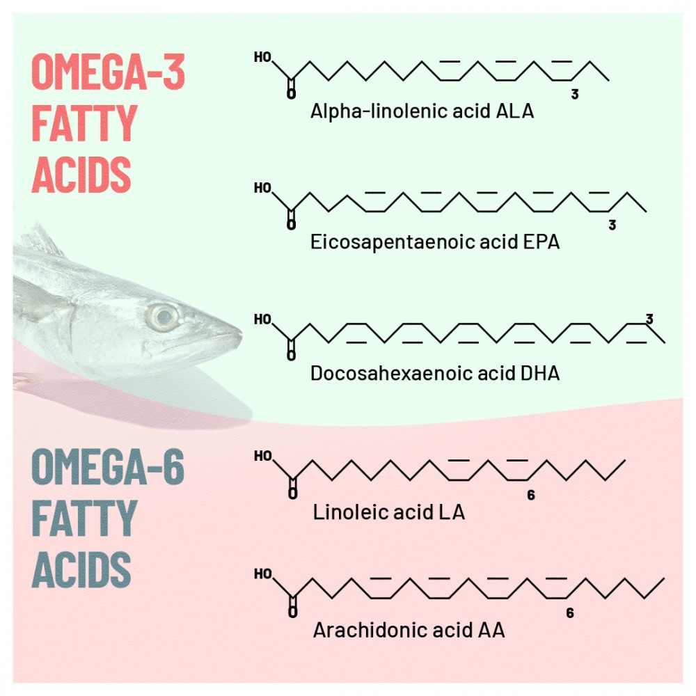 The Unbeatable Healing Powers of Omega 3 6 9