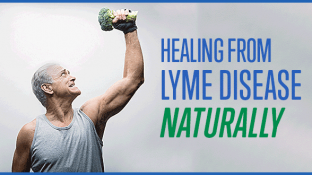 Healing from Lyme Disease: A Natural Journey to Recovery Healing from Lyme Disease: A Natural Journey to Recovery