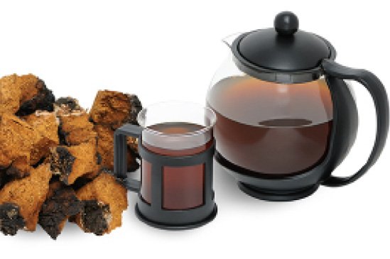 chaga mushroom