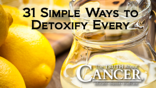 31 Simple Ways to Detoxify Every Day 31 Simple Ways to Detoxify Every Day