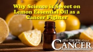Why Science is Sweet on Lemon Essential Oil as a Cancer Fighter Why Science is Sweet on Lemon Essential Oil as a Cancer Fighter
