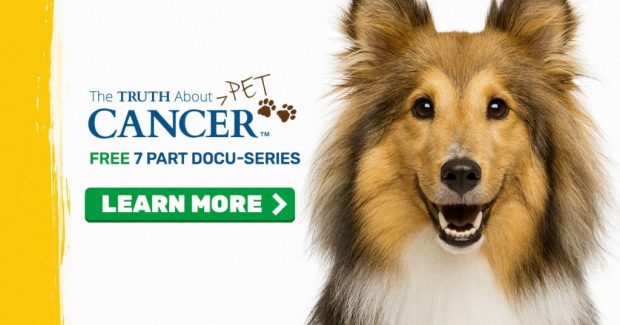 the truth about pet cancer banner 1