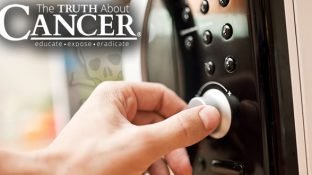 Are Microwaves Safe? (Must Read if You Use a Microwave Oven) Are Microwaves Safe? (Must Read if You Use a Microwave Oven)