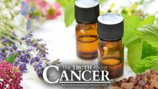5 Cancer-Fighting Essential Oils & 5 Ways to Use Them 5 Cancer-Fighting Essential Oils & 5 Ways to Use Them